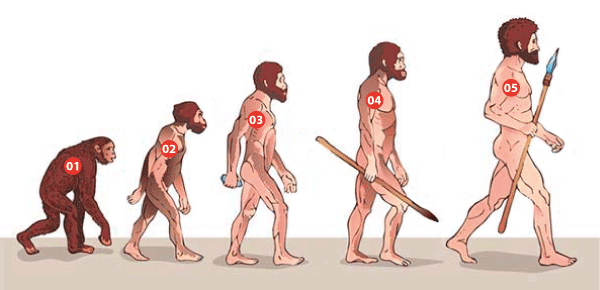 L'évolution de l'Homme